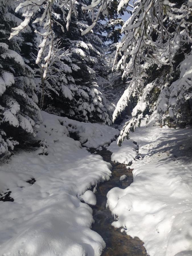 Studio 4 Personnes Au Pied Des Piste Plateau De Bonascre - Ax 3 Domaines Ete Hiver Ax-les-Thermes Exterior foto